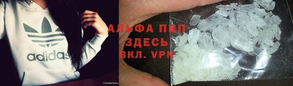 сатива Покачи