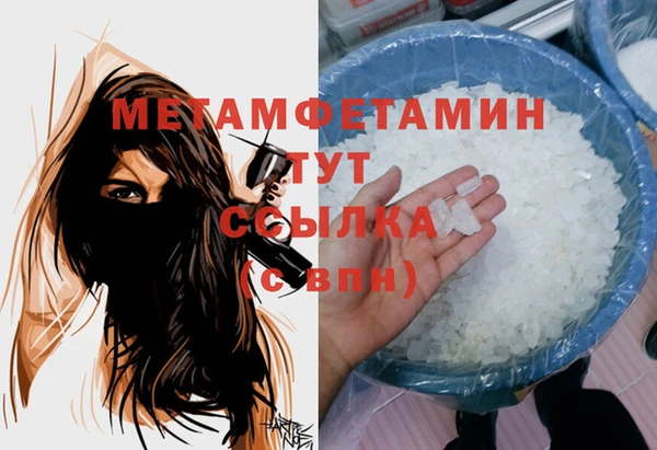 сатива Покачи