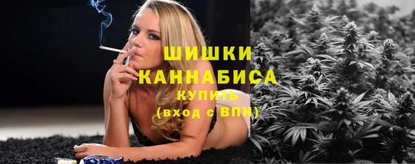 сатива Покачи