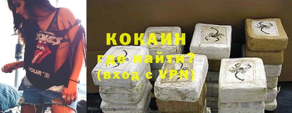 сатива Покачи