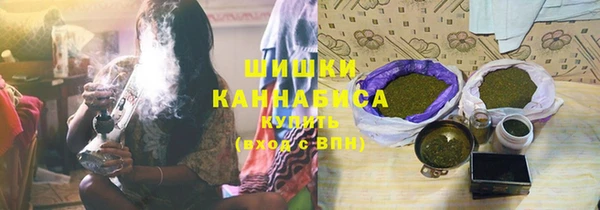сатива Покачи