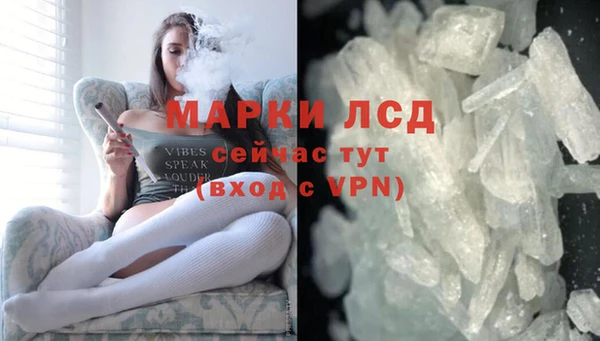 сатива Покачи