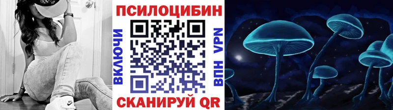 закладка  Бабаево  Псилоцибиновые грибы Cubensis 